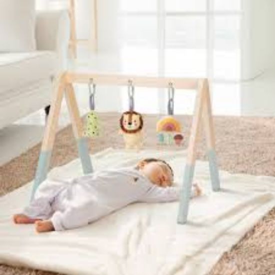Picture of BABY GYM