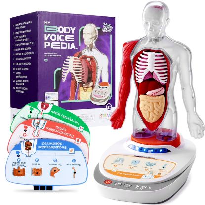Picture of MY BODY VOICE PEDIA