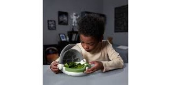Picture of INSECT GROWTH STATION LEVEL 2